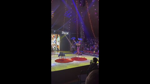 Acrobatics duo 1