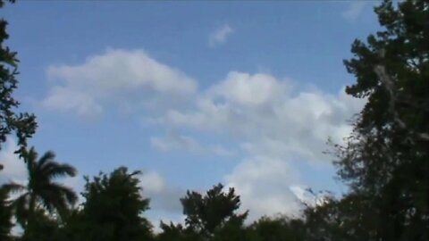 43.- " Una larga espera.... "