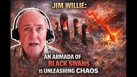 Jim Willie: An ARMADA of Black Swans Is Unleashing Chaos