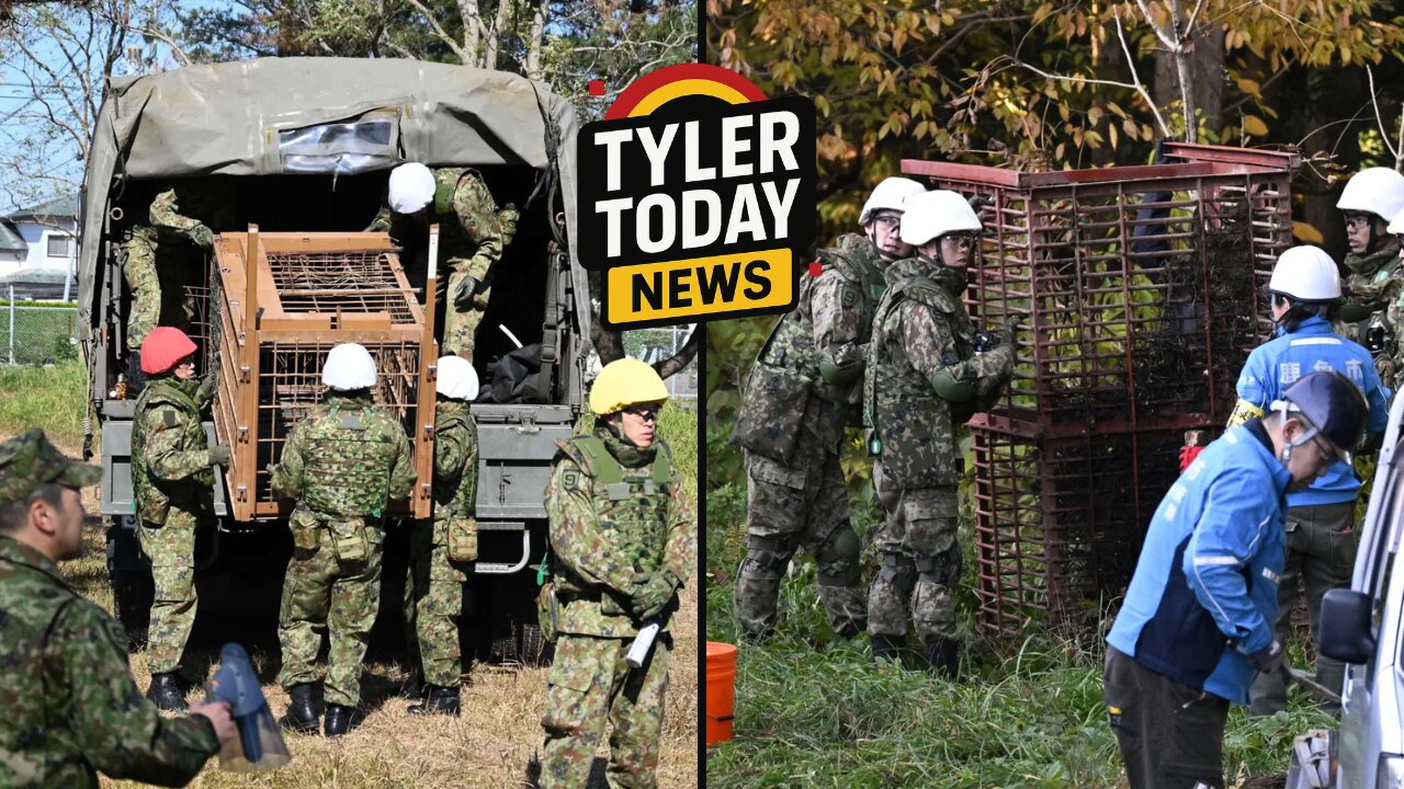 Japanese military deployed to help handle out of control bear population