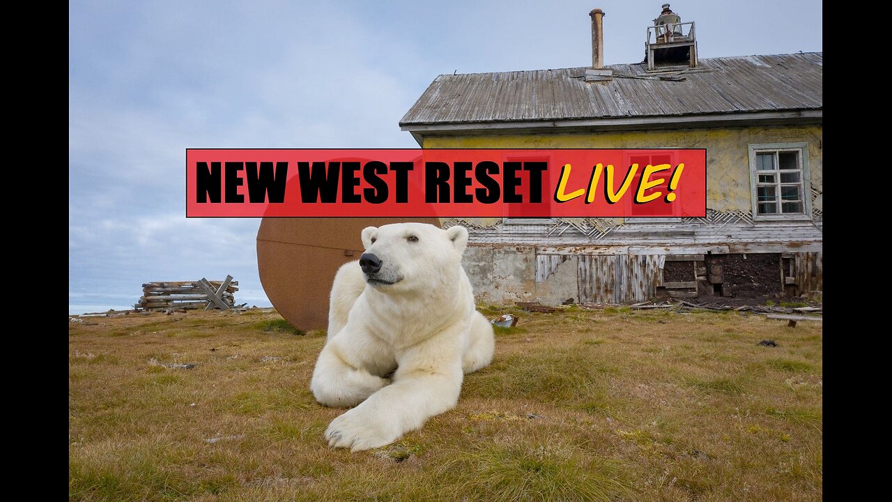 Bare/Bear Island: New West Reset LIVE! 115 #reset #oldworld #mudflood