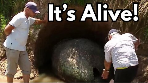 Ancient Monsters They Don't Want You to Know About - The Ziz Cover-Up