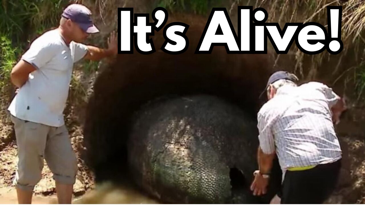 Ancient Monsters They Don't Want You to Know About - The Ziz Cover-Up
