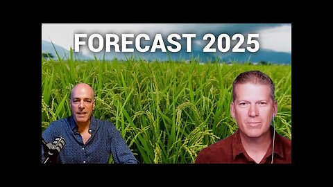 What the 2025 Rice Forecast Means for Our World
