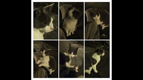 In the mix with Anahata 💕 January 1st 2026