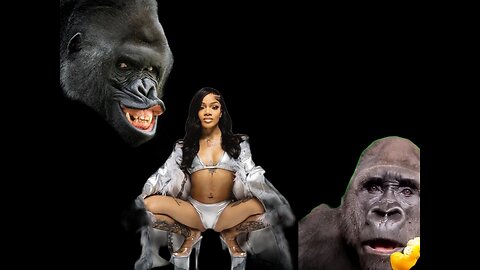 1 Glorilla vs 1 Gorilla