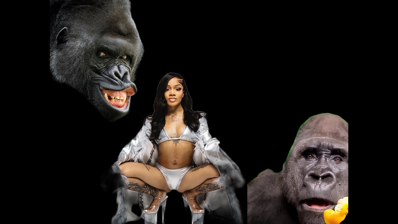 1 Glorilla vs 1 Gorilla