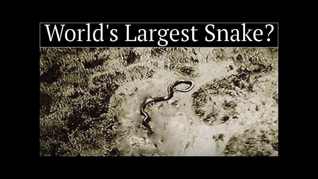 Aerial Encounters: Unveiling the Giant Snake of 1959!
