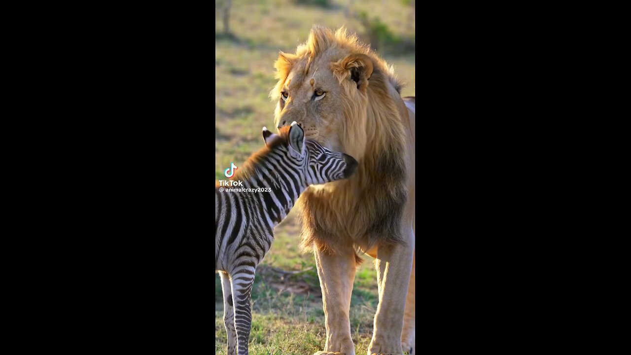 Melting Hearts with this adorable friendship