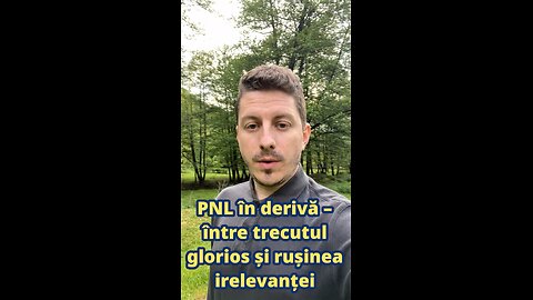 PNL în derivă – între trecutul glorios și rușinea irelevanței