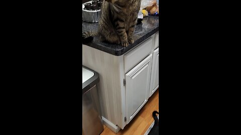 Tuna Time Breakfast
