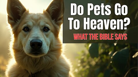 Do Pets Go to Heaven? What the Bible Really Says (You’ll Be Surprised)