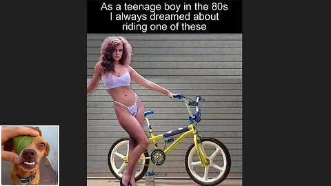 Memes That Will 99.0507% Make You Laugh. (e731)