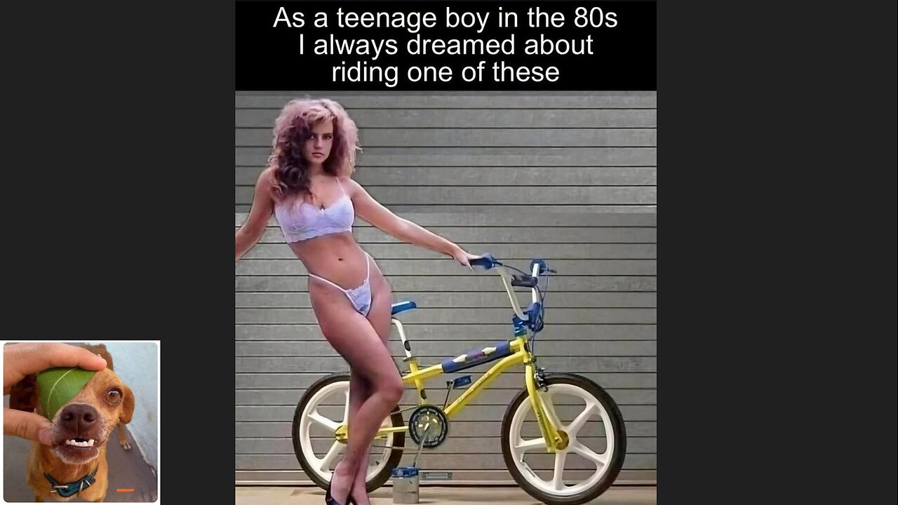 Memes That Will 99.0507% Make You Laugh. (e731)