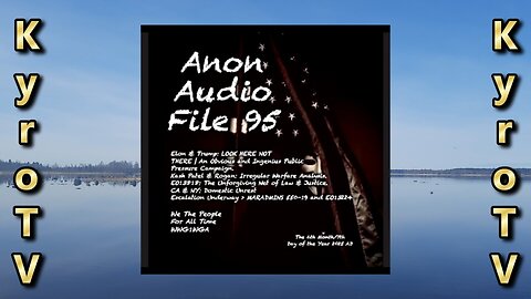 SGAnon - Audio File 95 (Swedish subtitles)