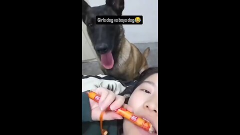 Seems like the dog is broken🤩