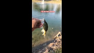 Why you should always... finish the retrieve #bassfishing #ultralightfishing #bfsfishing #fishing