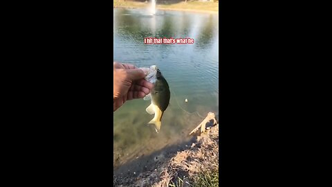 Why you should always... finish the retrieve #bassfishing #ultralightfishing #bfsfishing #fishing