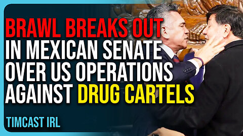 Brawl Breaks Out In Mexican Senate In Viral Video Over US Operations Against Drug Cartels