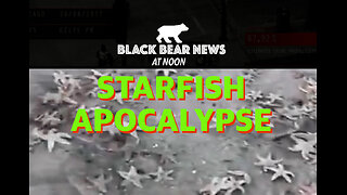 Starfish Apocalypse | Ghost Stores | Fall Of Nepal