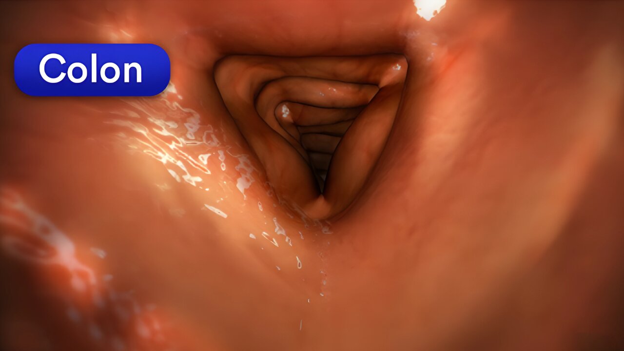 The #1 Food to UNCLOG Your Colon Fast