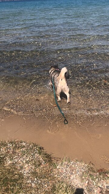 Tuesday April 22, Here is the man called the Branch