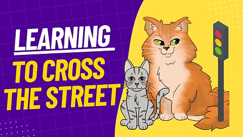 A Cat Named Puppy: Learning to Cross the Street | Safety Cartoon for Kids