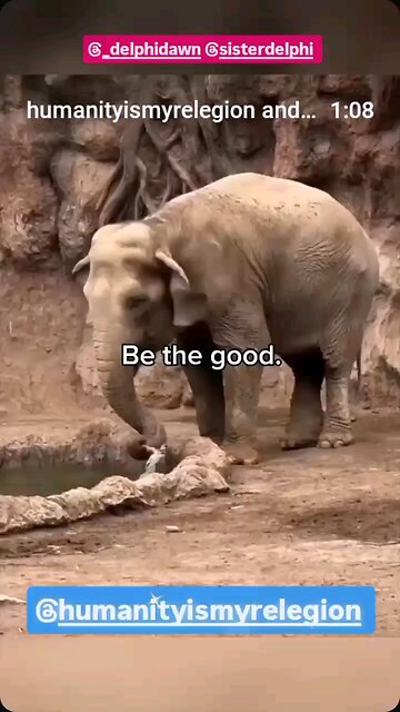 SO Beautiful 🤗💕 This Will Make You Smile 🤩Be The Good 🥹🥲😇❤️