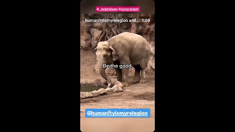 SO Beautiful 🤗💕 This Will Make You Smile 🤩Be The Good 🥹🥲😇❤️