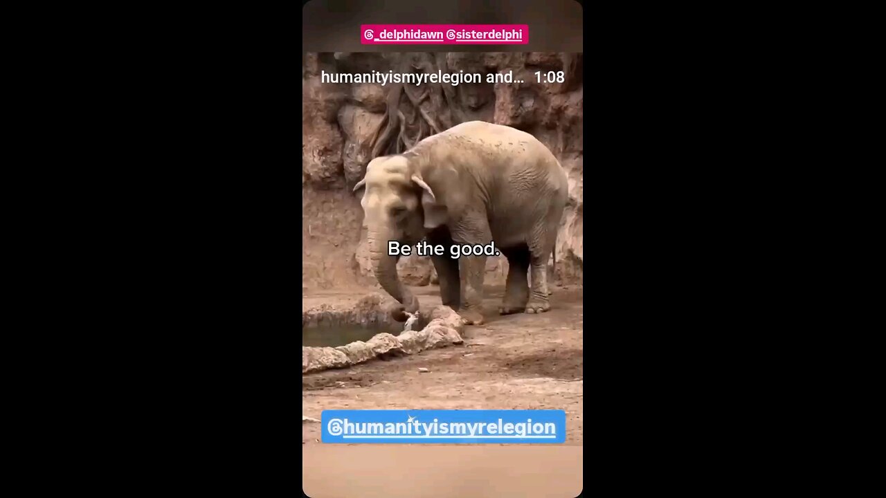 SO Beautiful 🤗💕 This Will Make You Smile 🤩Be The Good 🥹🥲😇❤️