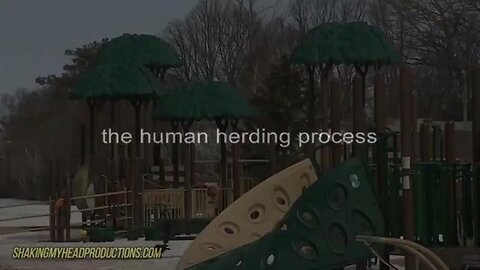 The Human Herding Process