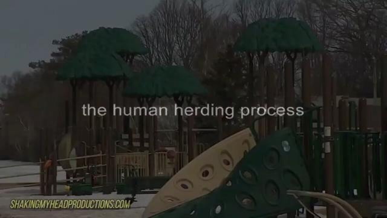The Human Herding Process