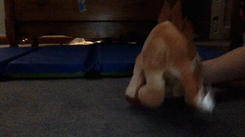 (OLD) Prehistoric Face off 5- Stegosaurus vs Spinosaurus