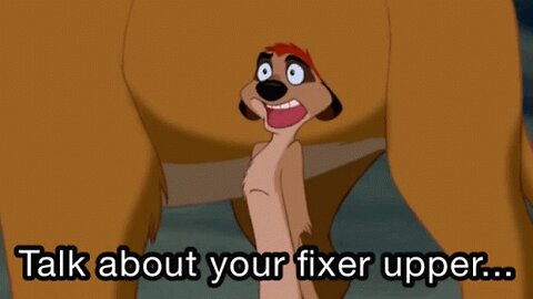 HumanElias90 As Timon (Disney Animation)