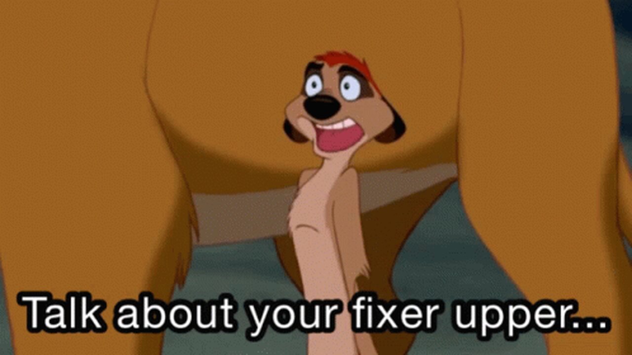 HumanElias90 As Timon (Disney Animation)
