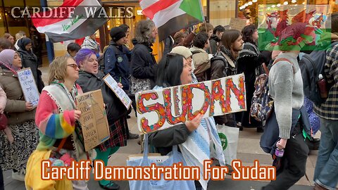 Demonstration for Sudan, March, Cardiff City centre