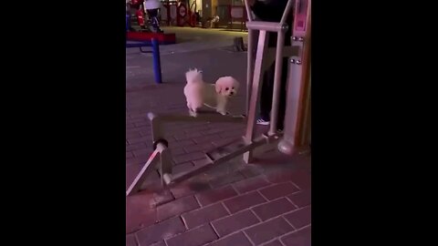 बुयुटीफुल