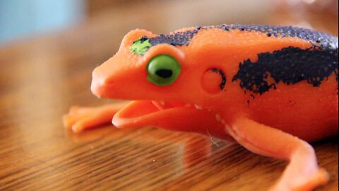 Frogs Are Assholes (Andrew Blaze - Randy Stair)