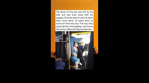 Bus Driver Brings His Dogs To Work