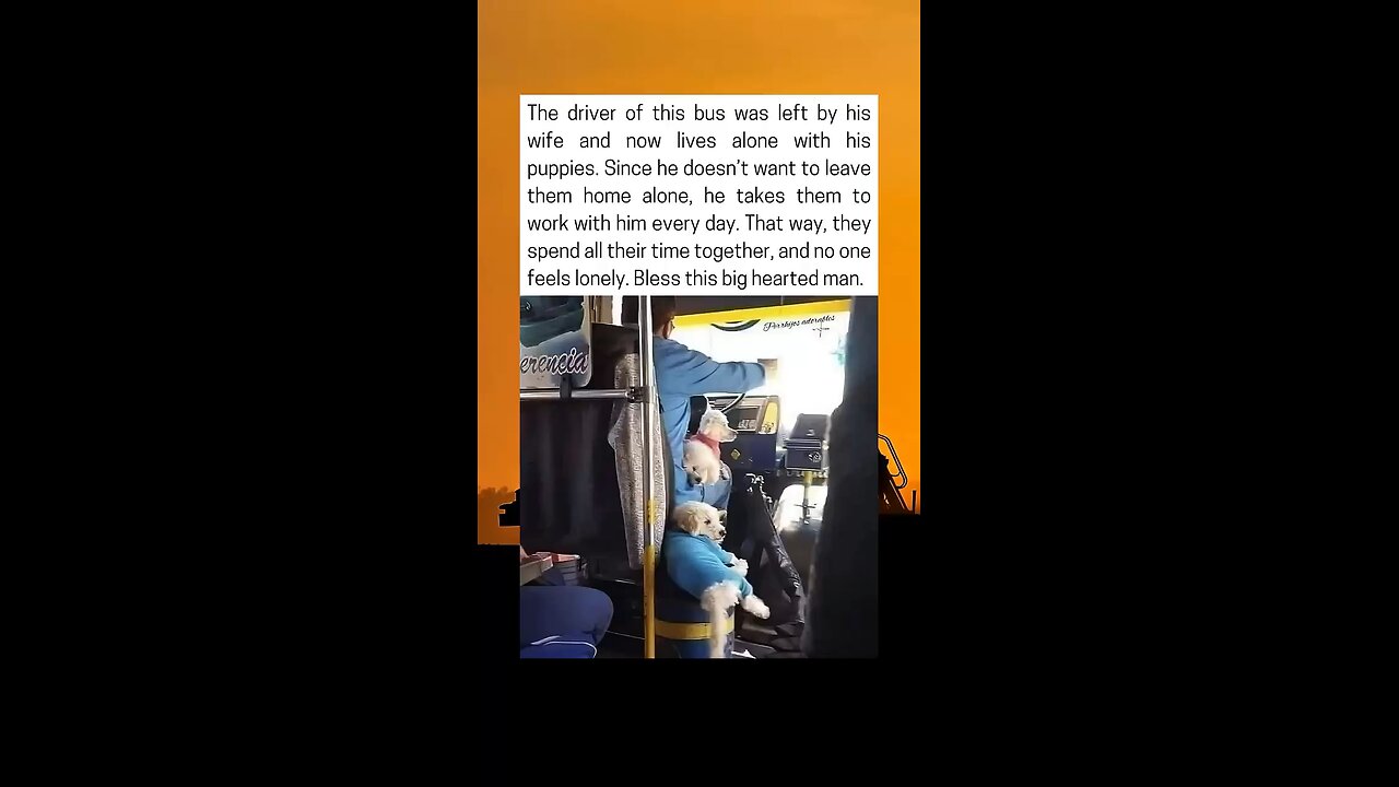 Bus Driver Brings His Dogs To Work