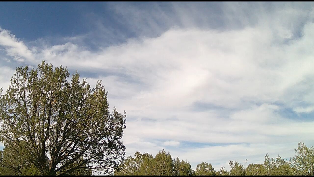 Mrs. Hermit update Aug 2025