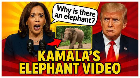 She Really Said This… About a Shaking Elephant.