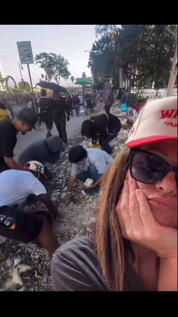 Community rock collecting event.