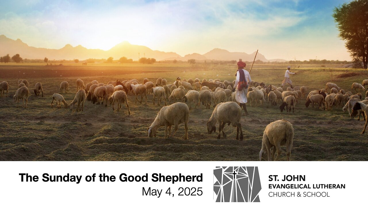 The Sunday of the Good Shepherd — May 4, 2025