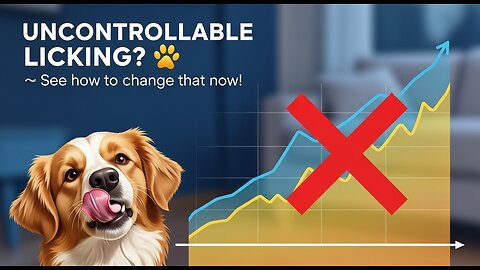 Enough With the Licking! How to Control Your Dog!