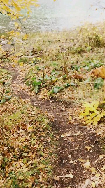 Video Footage Of A Lake Valley