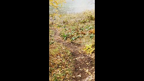 Video Footage Of A Lake Valley