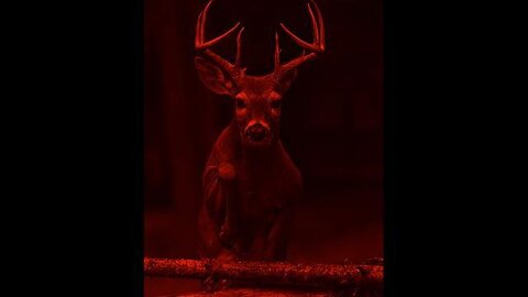 "Zombie Apocalypse Fear Rises: 3 Confirmed CJD Cases in Oregon Alarm Experts"