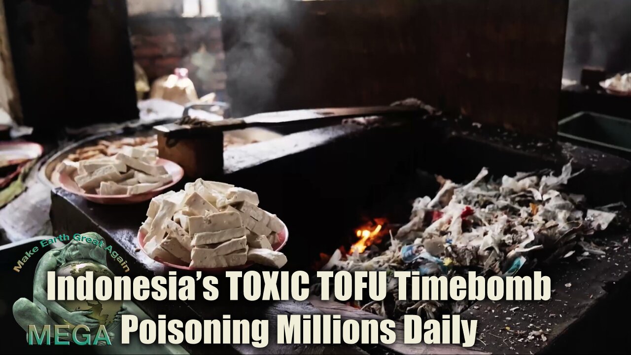 Indonesia’s TOXIC TOFU Timebomb: Poisoning Millions Daily