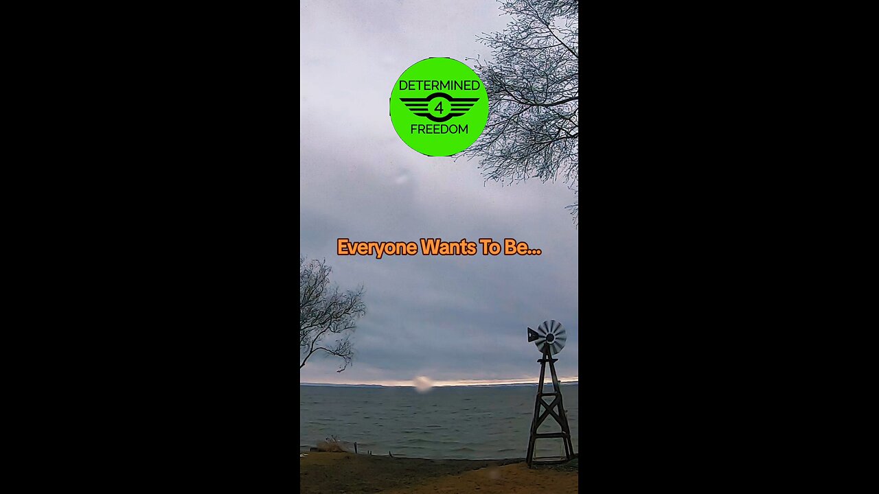 Everyone Wants To Be...